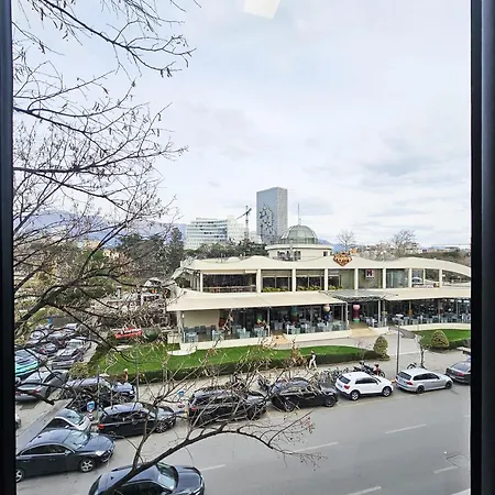 Daire Sunflower Junior Tiran