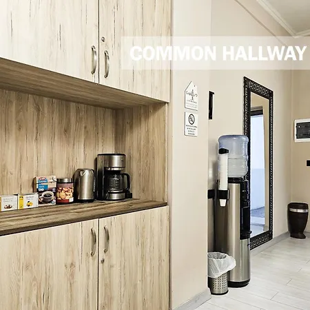 Sunflower Junior Tiran